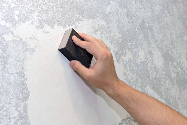 Dehumidification Services in Maplewood, WA
