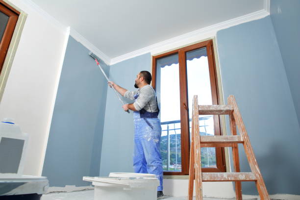 Best Black Mold Removal  in Maplewood, WA