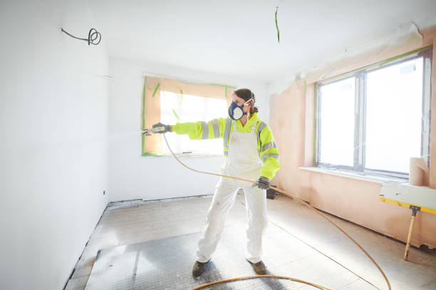 Best Basement Mold Removal  in Maplewood, WA