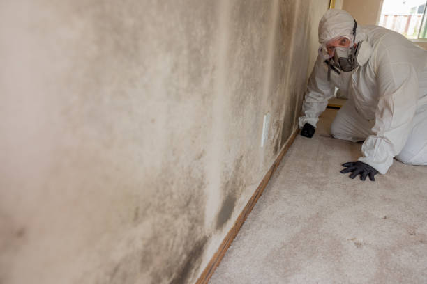 Best Mold Remediation for Healthcare Facilities  in Maplewood, WA